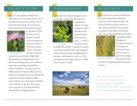 High plains invasives project