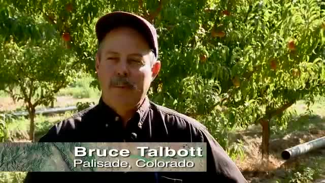 Colorado Proud produce