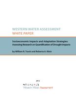 Socioeconomic impacts and adaptation strategies. Assessing research on quantification of drought impacts