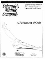 A parliament of owls