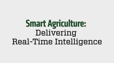 Advancing the agriculture economy through innovation. Smart Agriculture: Delivering Real-Time Intelligence
