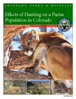 Effects of hunting on a puma population in Colorado