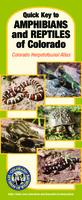 Quick key to amphibians and reptiles of Colorado : Colorado herpetofaunal atlas