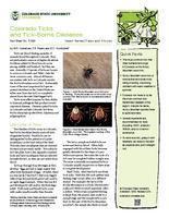 Colorado ticks and tick-borne diseases