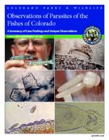 Observations of parasites of the fishes of Colorado : a summary of case findings and unique observations