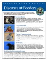 Diseases at feeders
