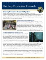 Hatchery production research : optimizing production of rainbow trout in Colorado's hatchery system