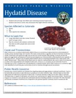 Hydatid disease