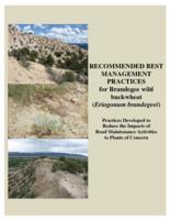 Recommended best management practices for Brandegee wild buckwheat (Eriogonum brandegeei) : practices developed to reduce the impacts of road maintenance activities to plants of concern