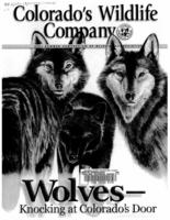 Wolves, knocking at Colorado's door