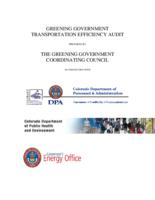 Greening government transportation efficiency audit