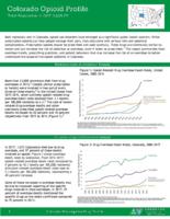 Colorado opioid profile