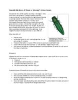 Emerald ash borer, a threat to Colorado's urban forests