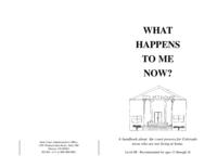 What happens to me now? Level III : a handbook about the court process for Colorado teens who are not living at home