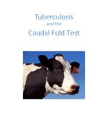 Tuberculosis and the caudal fold test