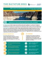 The bathtub ring : shrinking Lake Mead : impacts on water supply, hydropower, recreation and the environment