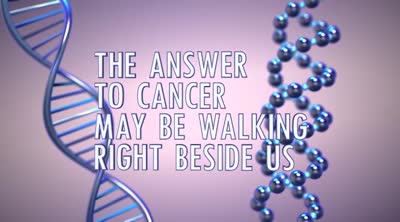 Answer to cancer may be walking right beside us