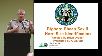 2018 sheep and goat hunter symposium. Big horn sheep sex and horn size identification