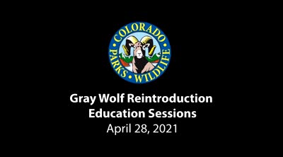 Gray wolf reintroduction education sessions. Session 1: Wolf management and wolf-prey interactions