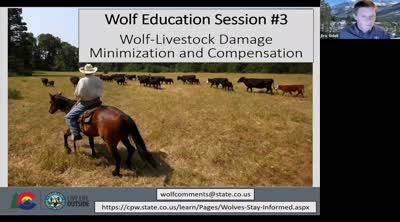 Gray wolf reintroduction education sessions. Session 3: Wolf-livestock damage minimization and compensation