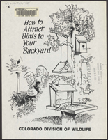 How to attract birds to your backyard