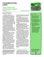 Crop water use and growth stages