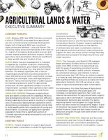 Conserving agricultural lands & water executive summary