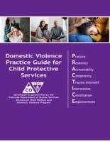 Domestic violence practice guide for child protective services