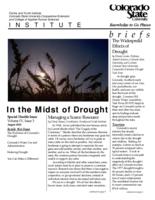 In the midst of drought