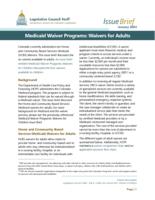 Medicaid waiver programs: waivers for adults