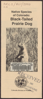 Native species of Colorado : black-tailed prairie dog