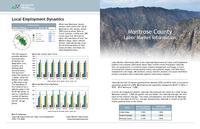 Montrose County labor market information