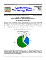 The value of alternative warehousing : the real option of San Luis Valley potato storage in Pueblo, CO