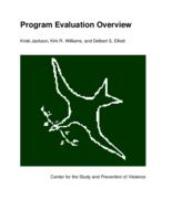 Program evaluation overview
