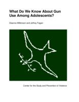 What do we know about gun use among adolescents?