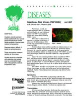 Greenhouse plant viruses (TSWV/INSV)