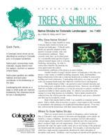 Native shrubs for Colorado landscapes