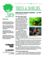 Native trees for Colorado landscapes
