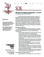 Nitrogen and irrigation management