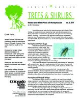 Insect and mite pests of honeylocust