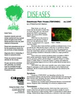 Greenhouse plant viruses (TSWV/INSV)