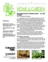 Grasshopper control in gardens & small acreages
