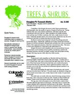 Douglas-fir tussock moths