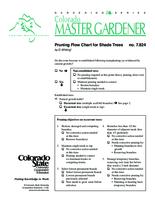 Pruning flow chart for shade trees