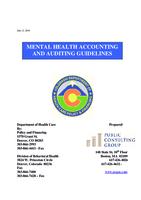 Mental health accounting and auditing guidelines