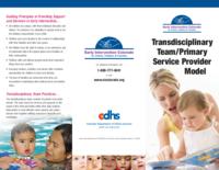 Transdisciplinary team/primary service provider model