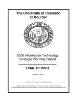 2006 information technology strategic planning report : final report