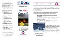 Disasters and insurance : Are you covered?