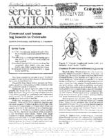 Firewood and house log insects in Colorado