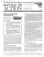 Insect and mite pests of honeylocust
